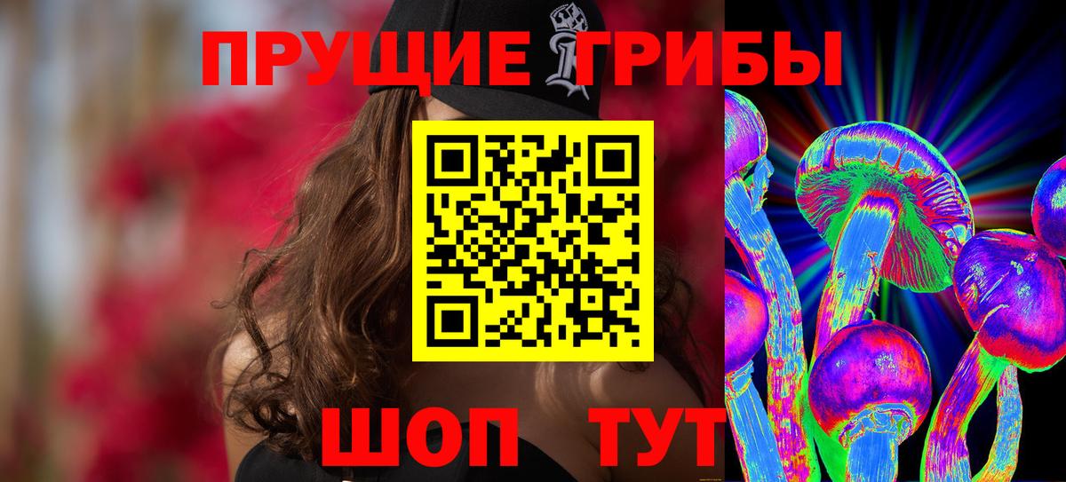 Галлюциногенные грибы Psilocybe Качканар